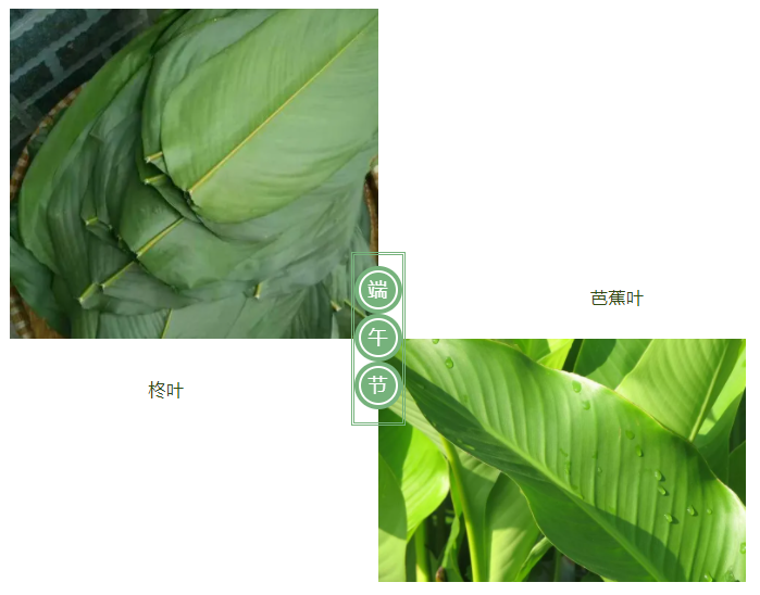 js金沙医纺